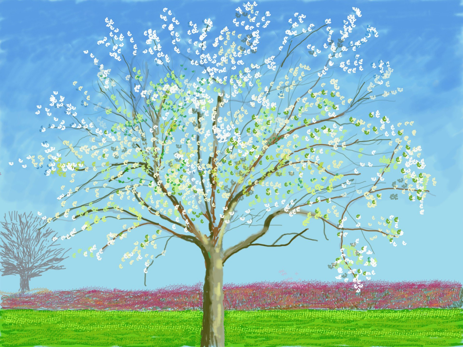 David Hockney Shares Exclusive Art from Normandy