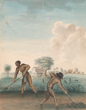 Landmark Exhibition, ‘Slavery’, Opens at Rijksmuseum Amsterdam 