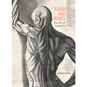 Getty Releases New Publication on Anatomical Illustration by Monique Kornell