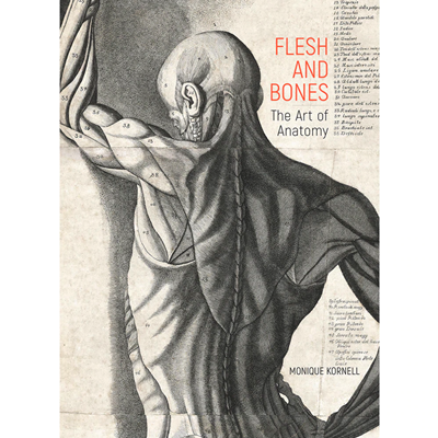 Getty Releases New Publication on Anatomical Illustration by Monique Kornell
