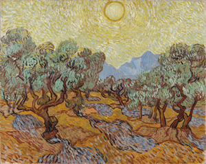 Van Gogh and the Olive Groves at Van Gogh Museum, Amsterdam