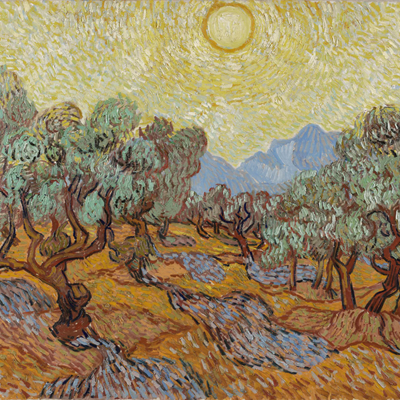 Van Gogh and the Olive Groves at Van Gogh Museum, Amsterdam