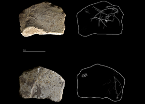Engraved Block Found at the Cova Gran de Santa Linya Dating Back 14,000 Years
