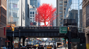 Pamela Resenkranz Installs Tree as the Third High Line Plinth Commission in Spring 2023