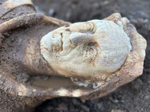 Statue With Hercules Headdress Discovered in Rome