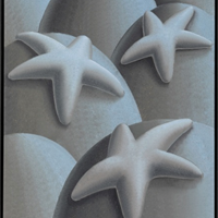 Laurens Legiers' "Three Resting Seastars" at Phillips