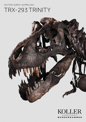 Trinity The First Tyrannosaurus Rex Skeleton Ever to be Offered at Auction in Europe