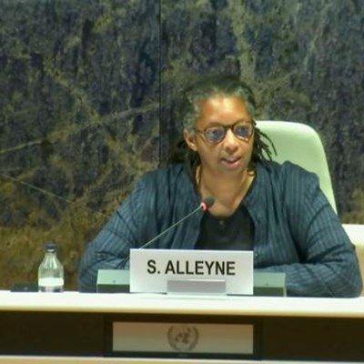 Sonita Alleyne Tells UN 'Africa Expects Return of Cultural Property’