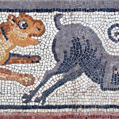 UNC-Chapel Hill-led Archaeological dig in Galilee Uncovers Mosaics of Samson 