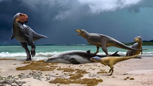 Fossils of “Primitive Cousins of T Rex” Shed Light on the End of the Age of Dinosaurs in Africa