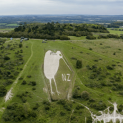 Giant New Zealand Kiwi Monument shines After Chopper Chalk Drop