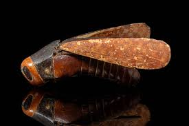 The Guennol Grasshopper from the Age of Tutankhamun heads to Auction