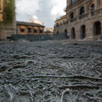 Cristina Iglesias, the sculptor of water