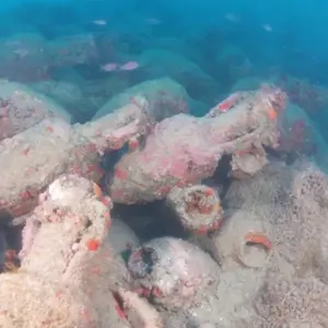 Roman Shipwreck Discovered off the Coast of Sicily