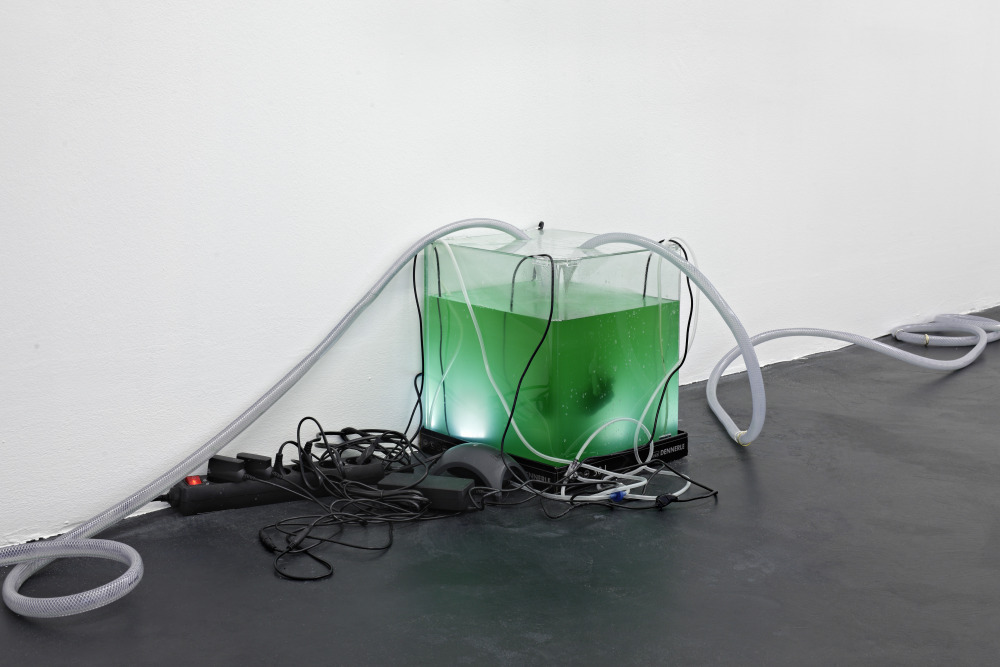 “It became clear right from the beginning that one way to make the Collection stronger was to engage with artists directly” 