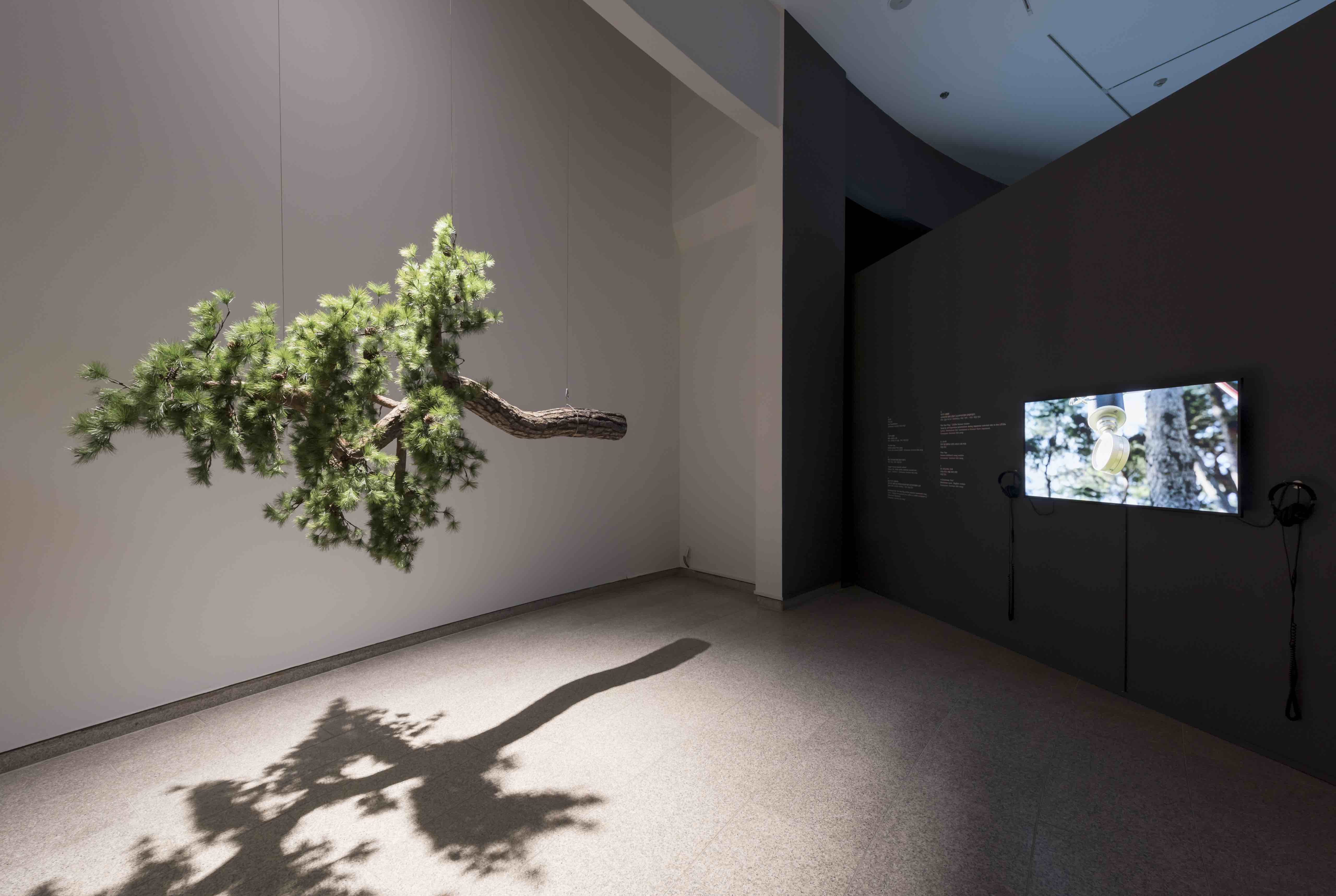 Running a Museum on the Korean Peninsula