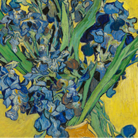 Symbolism in Art: Irises – Van Gogh (1889) 