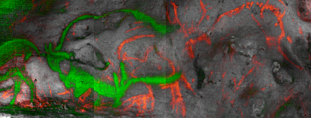 First Absolute Dating of Palaeolithic Paintings in the Dordogne, France