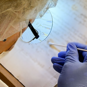 Leonardo Da Vinci's Art carries a Biological Record of its History, Study shows 