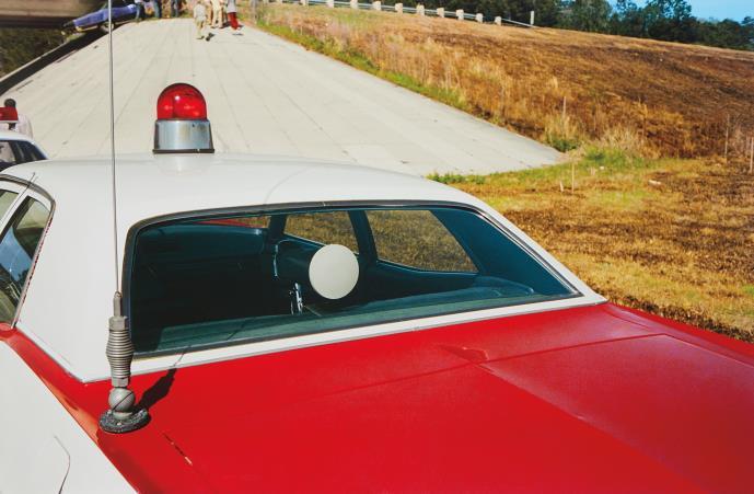 Untitled, WILLIAM EGGLESTON