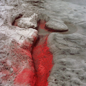 Ana Mendieta at Tate Modern: The Art of Disappearance