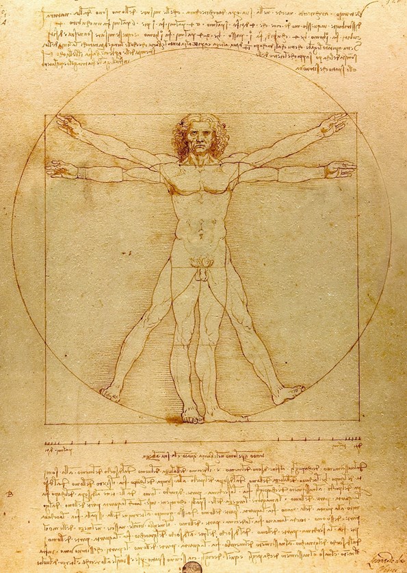 ArtDependence Court Stops Loan of Leonardo #39 s Vitruvian Man in the Louvre