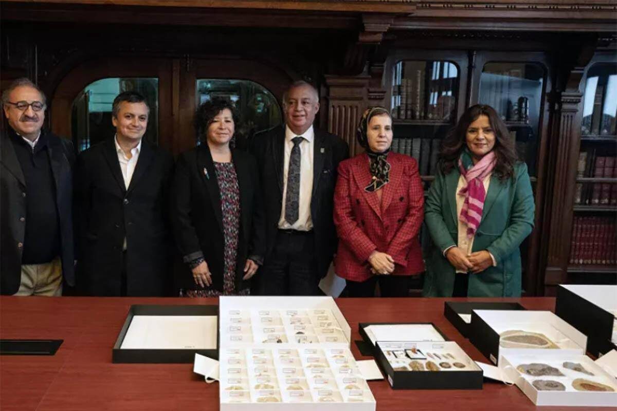 Morocco recovers 117 Fossils dating Back 400m Years from Chile
