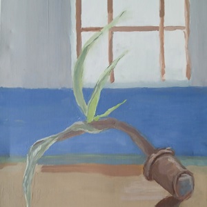 Micha Patiniott, Houseplant 2007