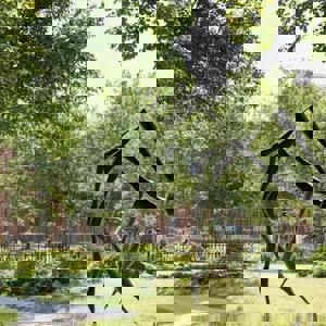 Rijksmuseum Amsterdam to open New Sculpture Garden