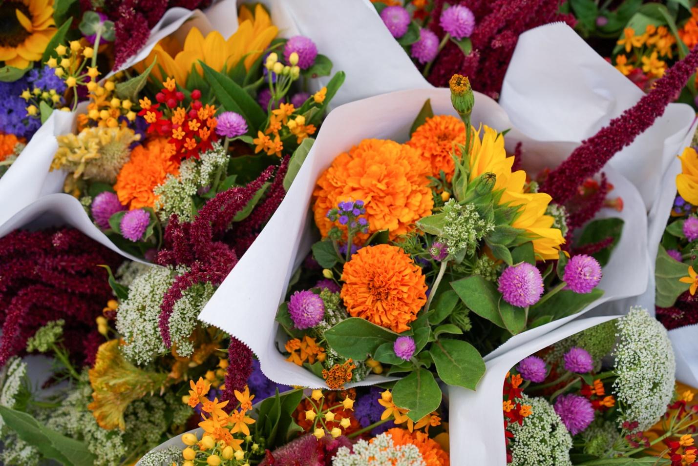 Blooms and Beyond: The Influence of Flowers on Arts, Design, and Fashion