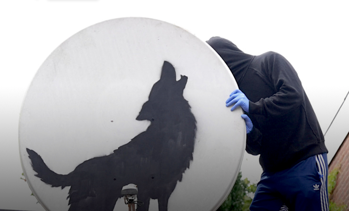 New Banksy Piece stolen one hour after he shared Pictures of his Fourth Animal Work 