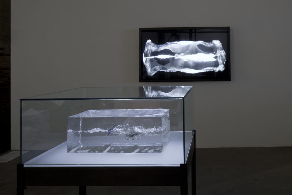 National Participations at the Venice Biennale:  Exhibitors, Commissioners, Curators, Venues