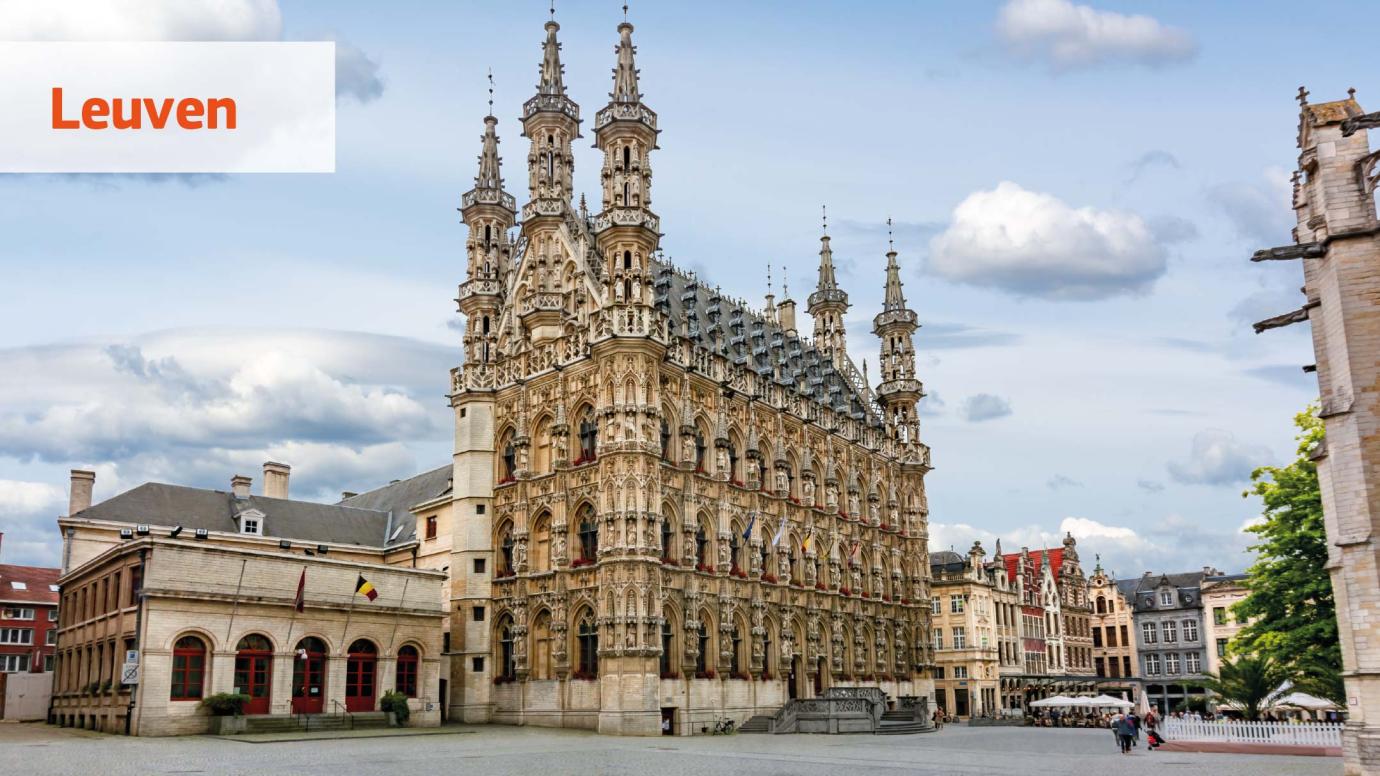 Leuven to be the European Capital of Culture 2030 in Belgium