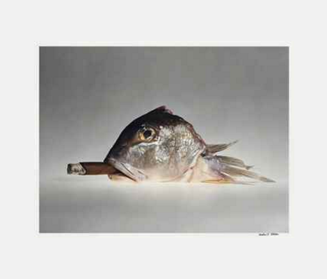Cohiba Cigar with Smoking Fish by Elliott Erwitt