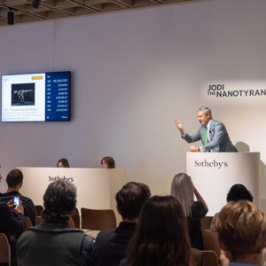 $47.3M Result for "Jodi" The Nano at Sotheby's