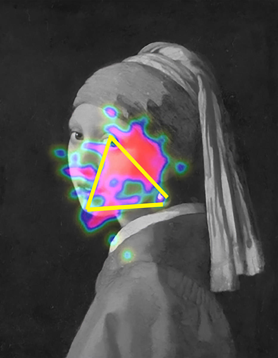 Girl with a Pearl Earring Visually Captivates the Viewer