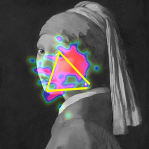 Girl with a Pearl Earring Visually Captivates the Viewer