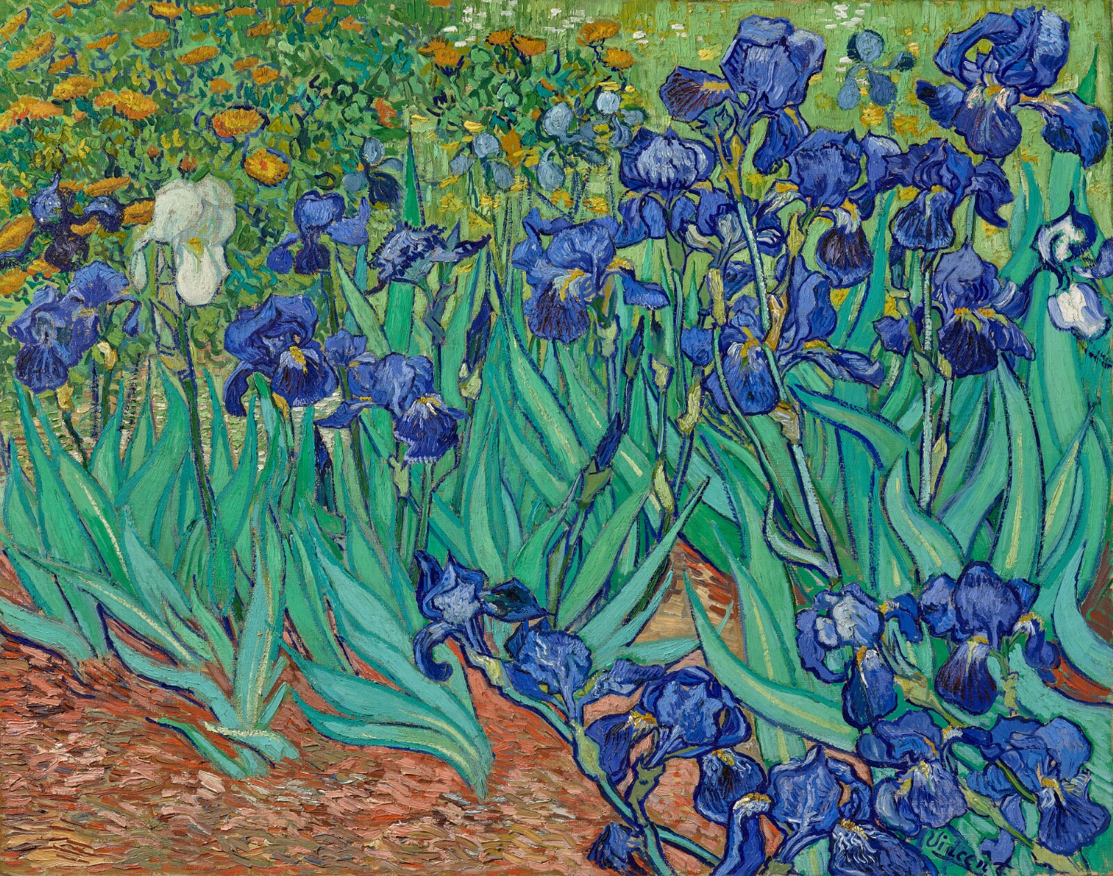 Research confirms the Flowers in Van Gogh's Irises were Originally not as Blue as they appear Today