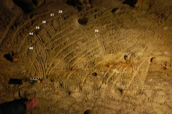 New Study suggests Children took Part in creating Prehistoric Cave Art