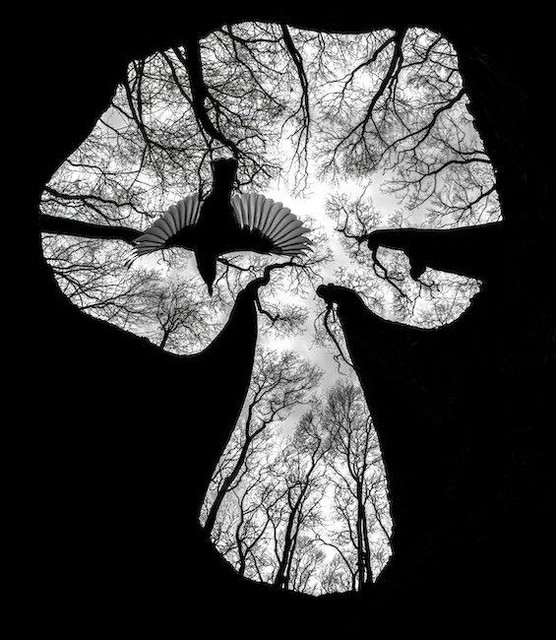 Csaba Daróczi has been awarded the Title Close-up Photographer of the Year