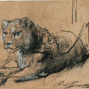 Sotheby's sets Record for Rembrandt Drawing with $18M 'Young Lion Resting'