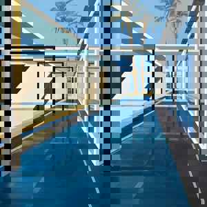 Cécile van Hanja (1964, Dutch), "Palm Reflections",  2023