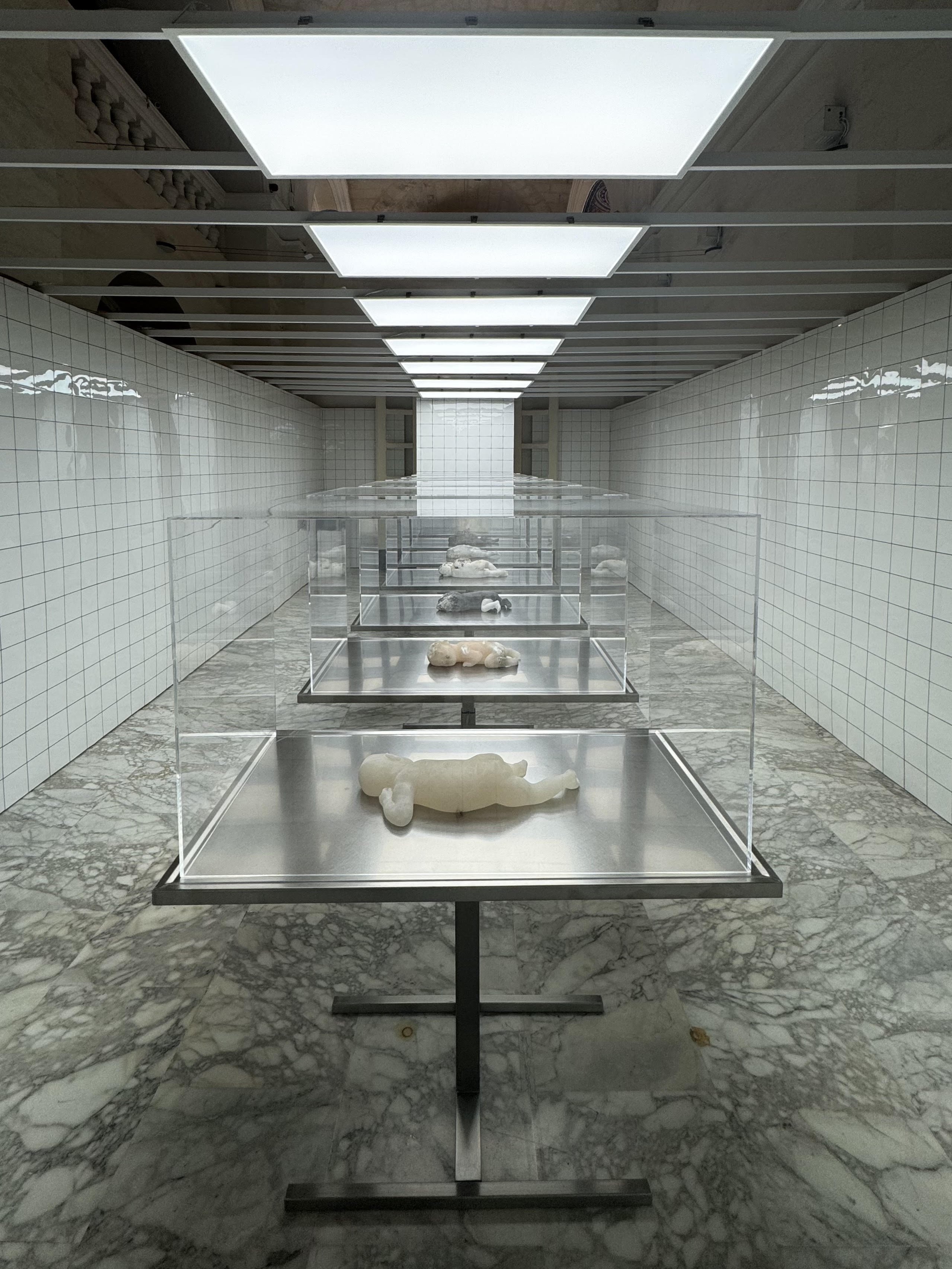 Exploring Fragility and Ethical Frontiers: Sofie Muller's 'The Clean Room' at Malta Biennale