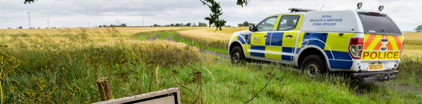 Extent of Heritage and Cultural Property Crime in England Revealed