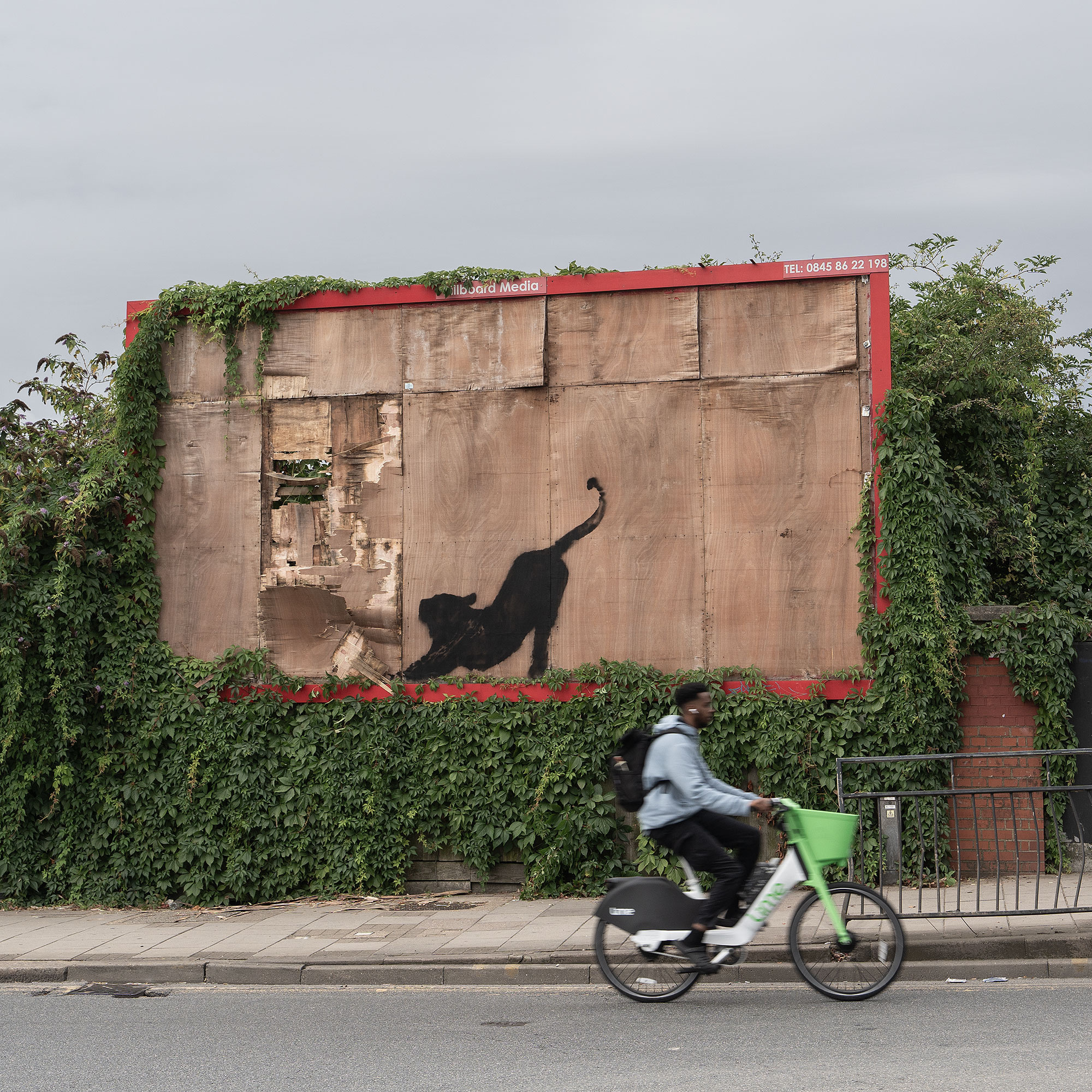 Banksy’s Sixth Artwork, a stretching Cat, is already taken Down