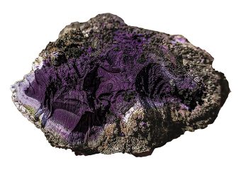 Rare Tyrian Purple discovered at Carlisle Archaeology Dig