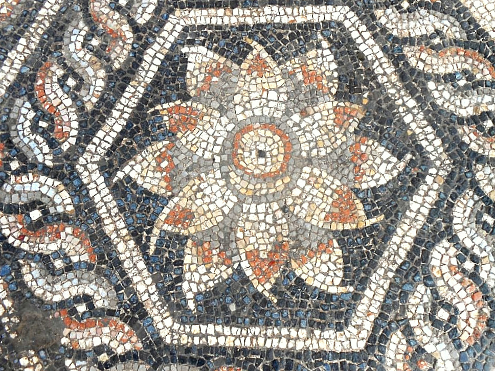 Beautiful Mosaic Dated To Graeco-Roman Times Discovered In Alexandria, Egypt
