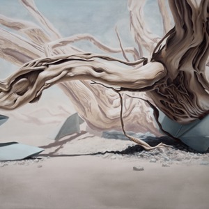 Rafael Smet (°2000, Czech Republic) "Vaquama" 2025