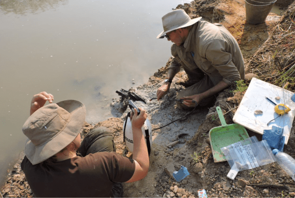 Archaeologists discover World’s Oldest Wooden Structure