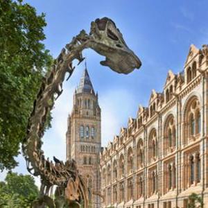 Natural History Museum is the most visited Attraction in the UK